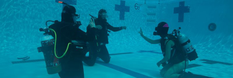 diver-training