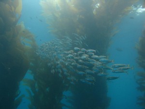 IMG_1011