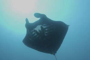 _JJK6938_2